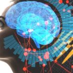 The Control Tower – Brain ,Share a Quick Remainder